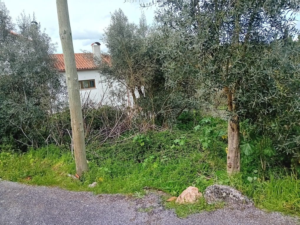 Moradia em ruínas para reconstrução