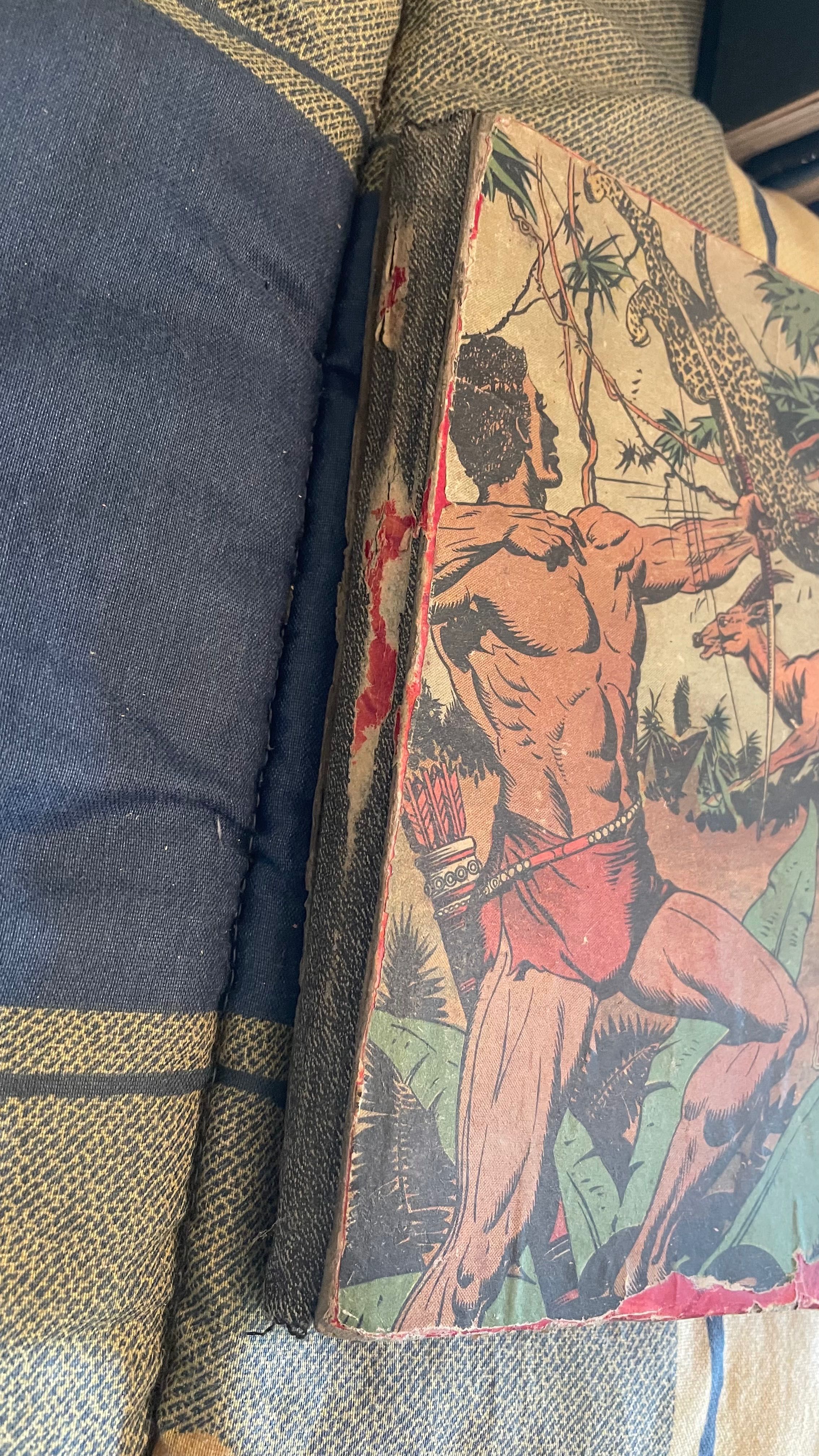 Livro Tarzan, O Terrível