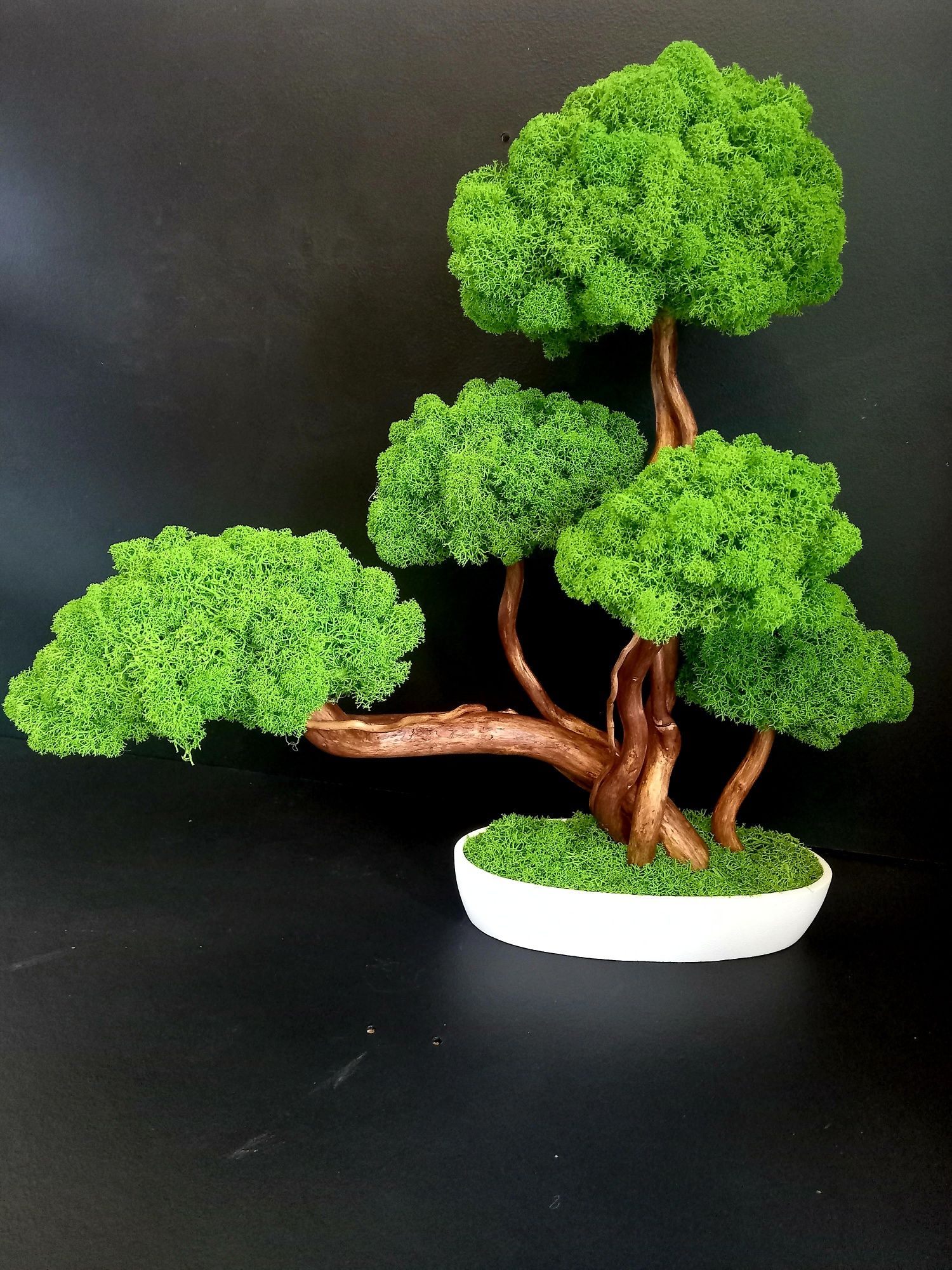 Drzewko bonsai z mchem chrobotkiem.Mech. Prezent. Dekoracje wnętrz.