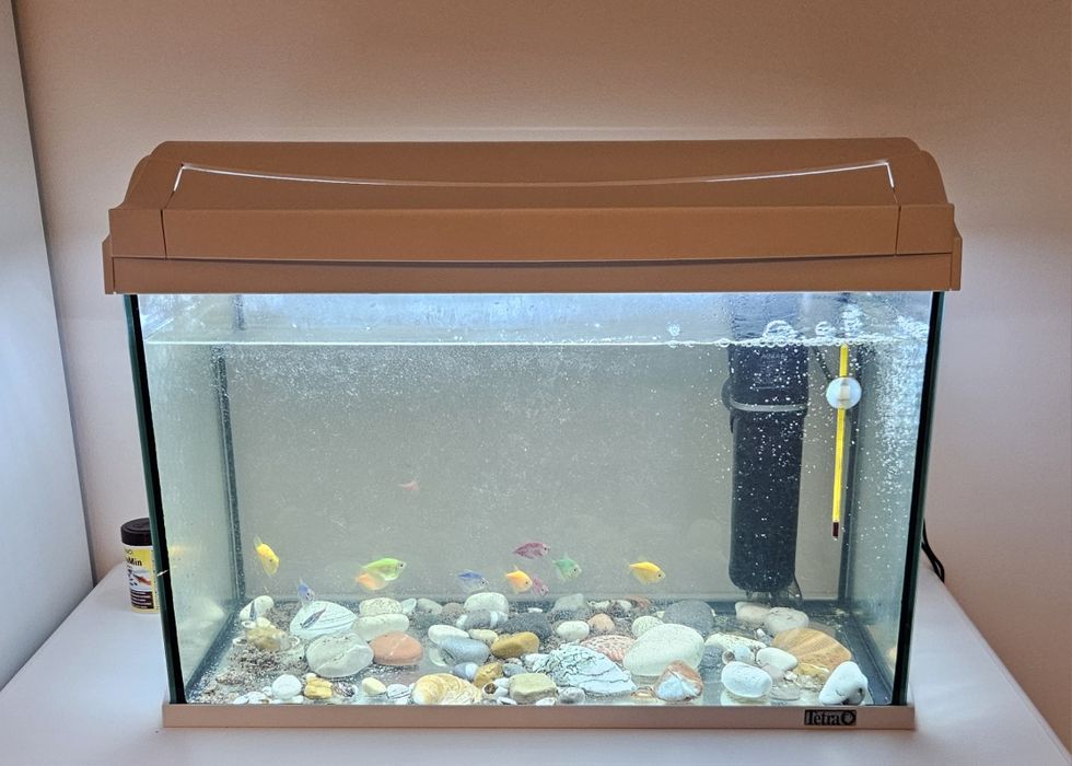 Akwarium dla rybek 60l