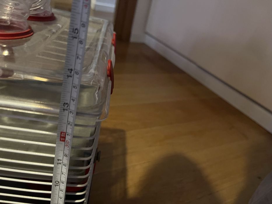Gaiola para hamster com acessórios de oferta!