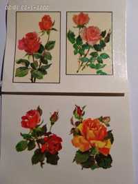 Переводные картинки ГДР розы в рамочке