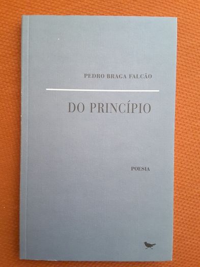 P. Braga Falcão / Aproximações a Eugénio de Andrade/ Torga: Libertação