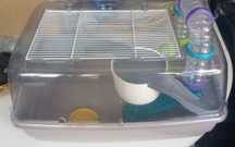 Gaiola para hamster