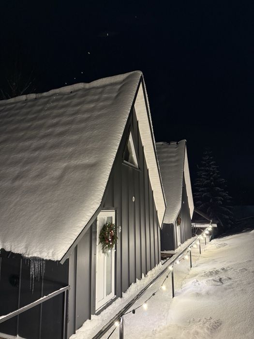 Апартаменти будинок котедж Яблуниця Буковель будинок двоповерховий