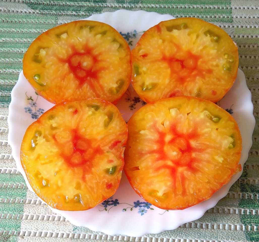 Рассада. Коллекционные томаты  (помидоры) .