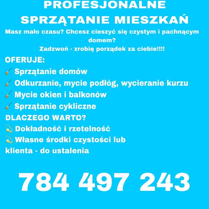 Profesjonalne sprzątanie mieszkań i domów