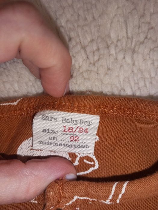 Zara BabyBoy Koszulka bluzka chłopięca chłopczyk ślimaki brązowa 92 gu