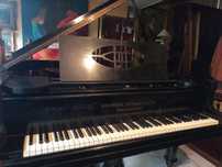 Piano de cauda Steinweg