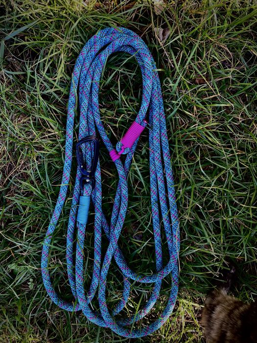 Поводок для собак