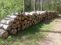 Drewno opałowe Brzoza grube wałki transport