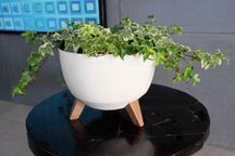 Zestaw dwóch Doniczek ROMA 24 cm kolor kremowy