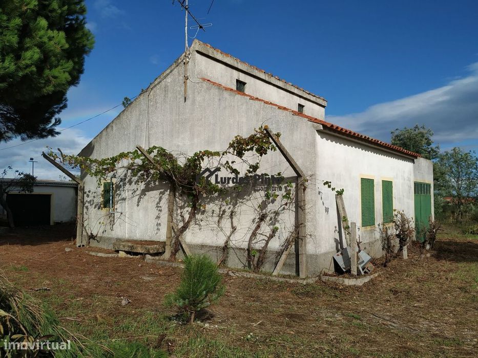 Excelente Quinta com habitação