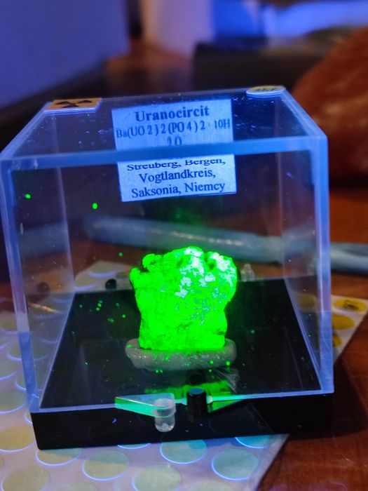 Minerał do kolekcji uranowy uranicircit UV