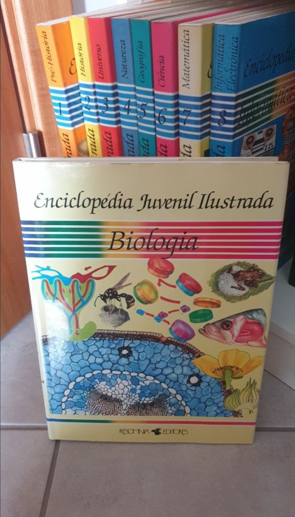 Enciclopédia Juvenil Ilustrada (vários volumes)