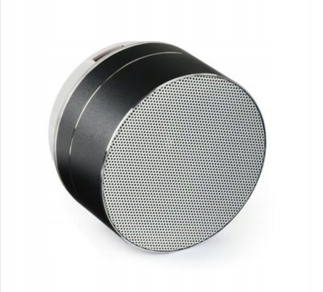 Przenośny głośnik Bluetooth z radiem FM, USB i mikrofonem