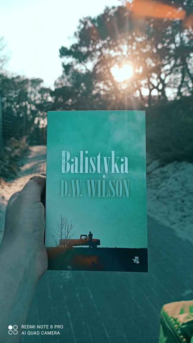Książka Balistyka - D. W. Wilson