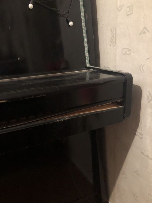 піаніно чайка