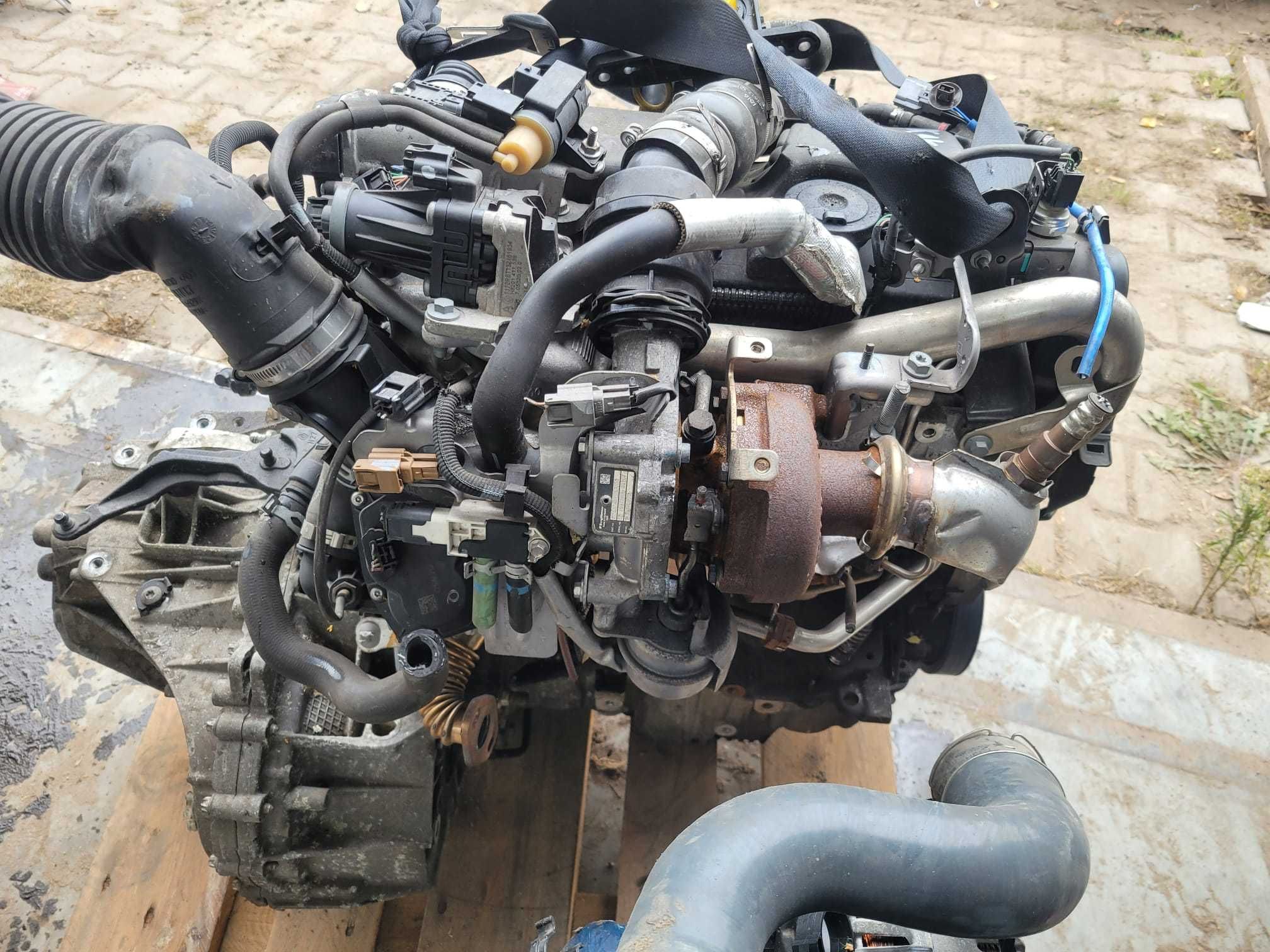 Silnik Kpl Renault  nissan   1.5 Dci K9k 636