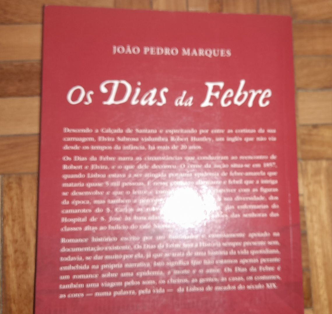 Os Dias da Febre - romance
