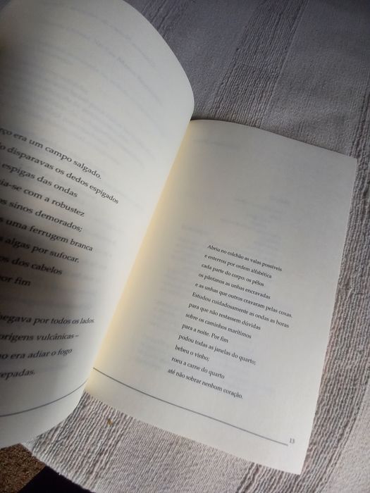 Revista de poesia Sulscrito num 1 verão de 2007