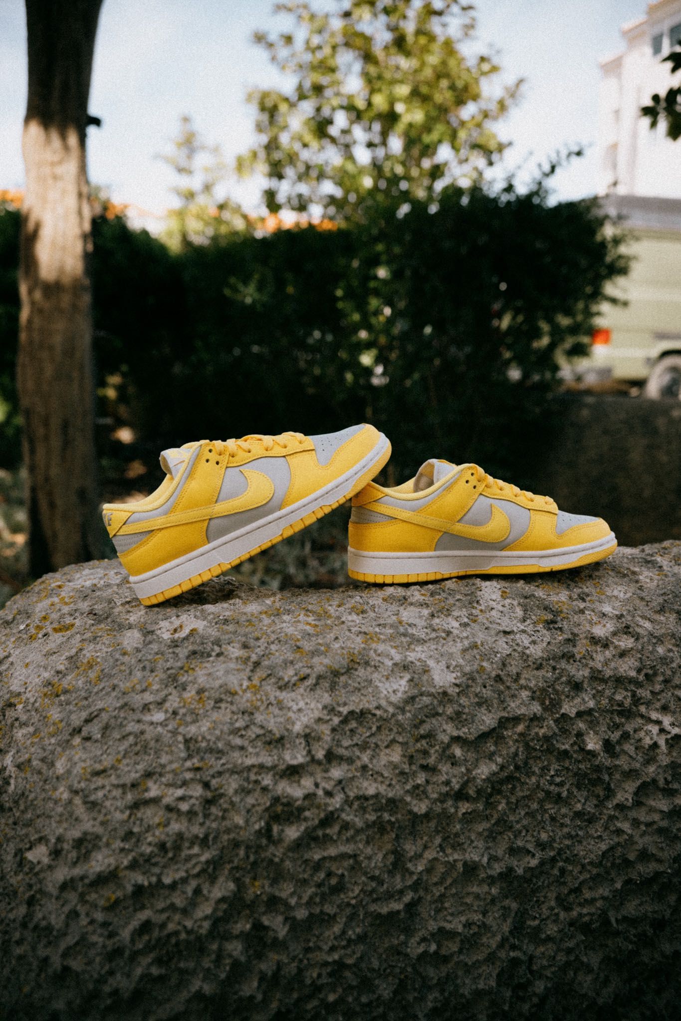 Nike Dunk Low “Citron Pulse” 40