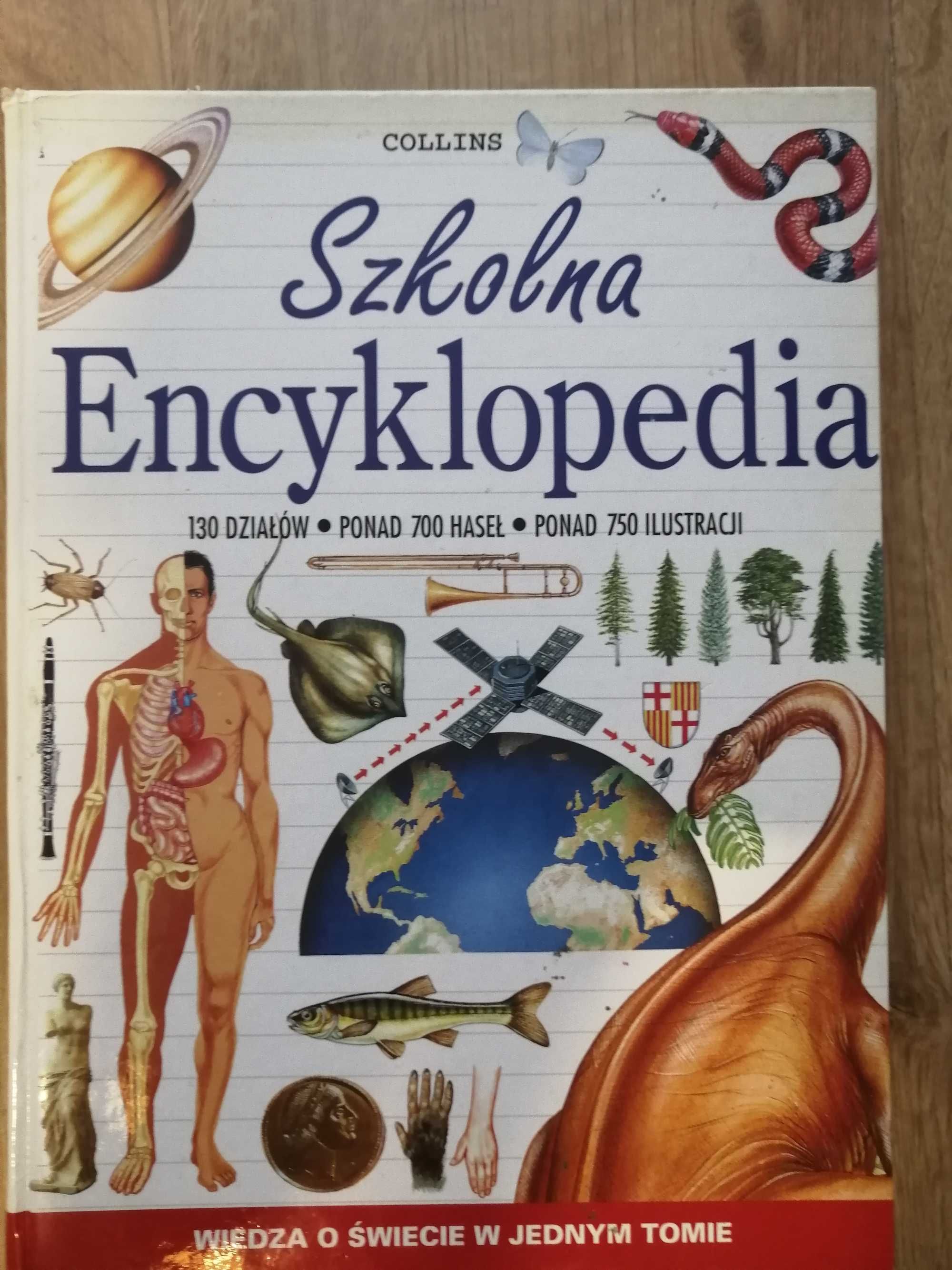 Szkolna Encyklopedia- książka