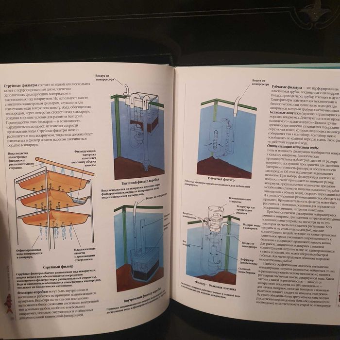 Аквариумные рыбки