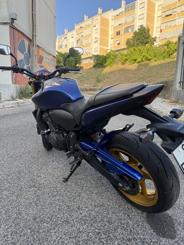 VENDO Hornet 2012