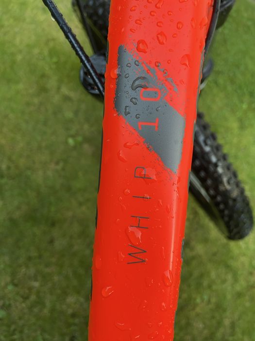 Rower Kellys Whip 10