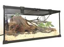 Terrarium szklane 50x30x25 cm komplet z wyposażeniem