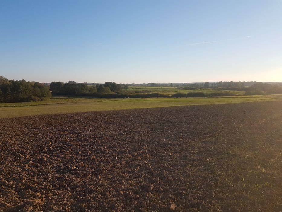 Działka siedliskowa