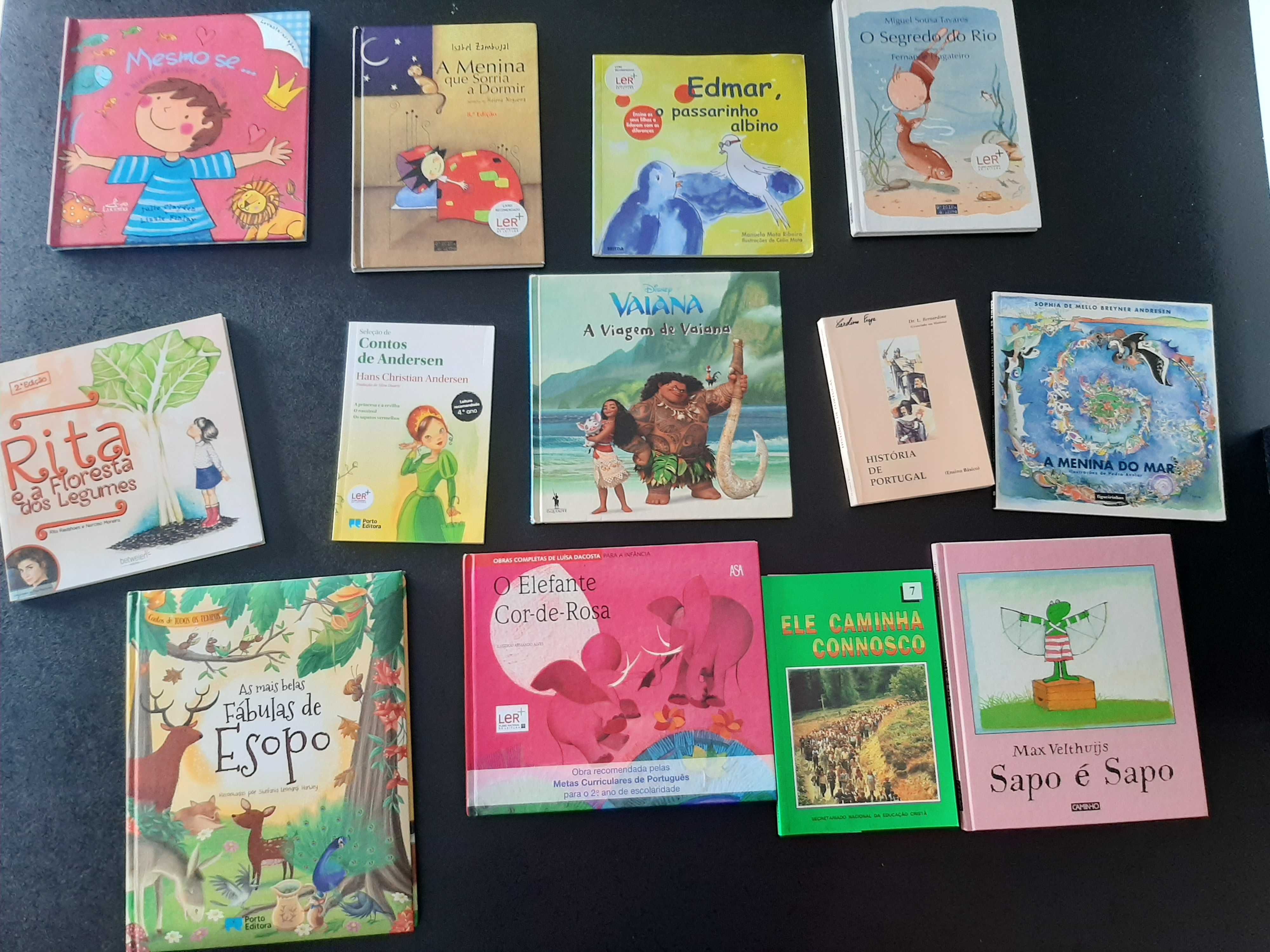 Livros do PNL (2.º ao 5.º ano) e outros de leitura