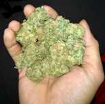 3g ROYAL SKYWALKER Susz Roślinny cbt cbl cbc Lot w kosmos! Działa !