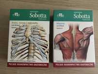 Fiszki do nauki anatomii Sobotta