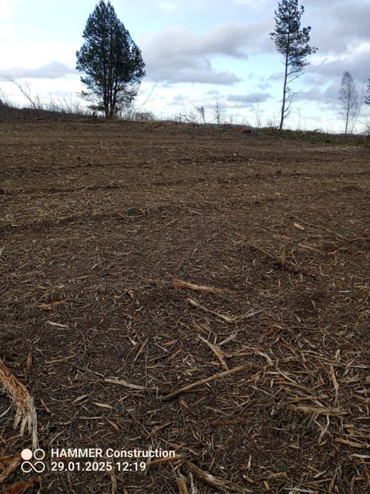 Mulczowanie usuwanie zakrzaczen samosiejek czyszczenie dzialek