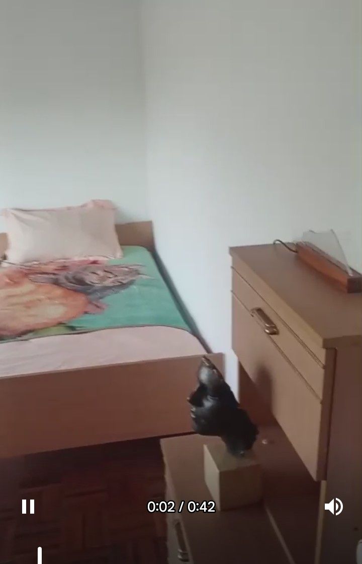 Quartos para arrendamento
