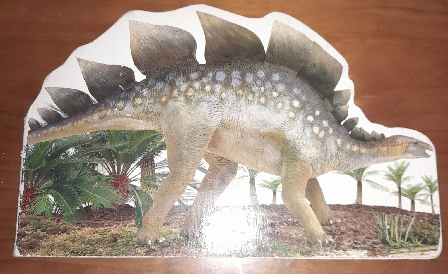 2 livros cartonados sobre Dinossauros