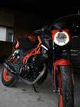 Mustang-Xtrit-250