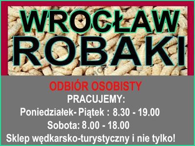 Robaki świeże 6 dni w tygodniu Wrocław zaprasza!!!