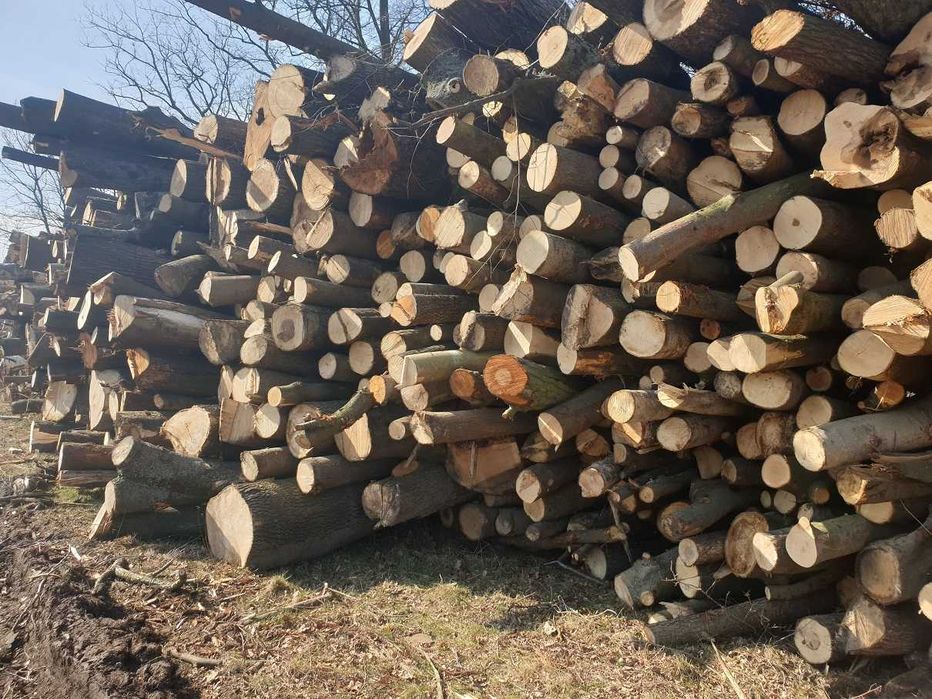 drewno bukowe, kominkowe