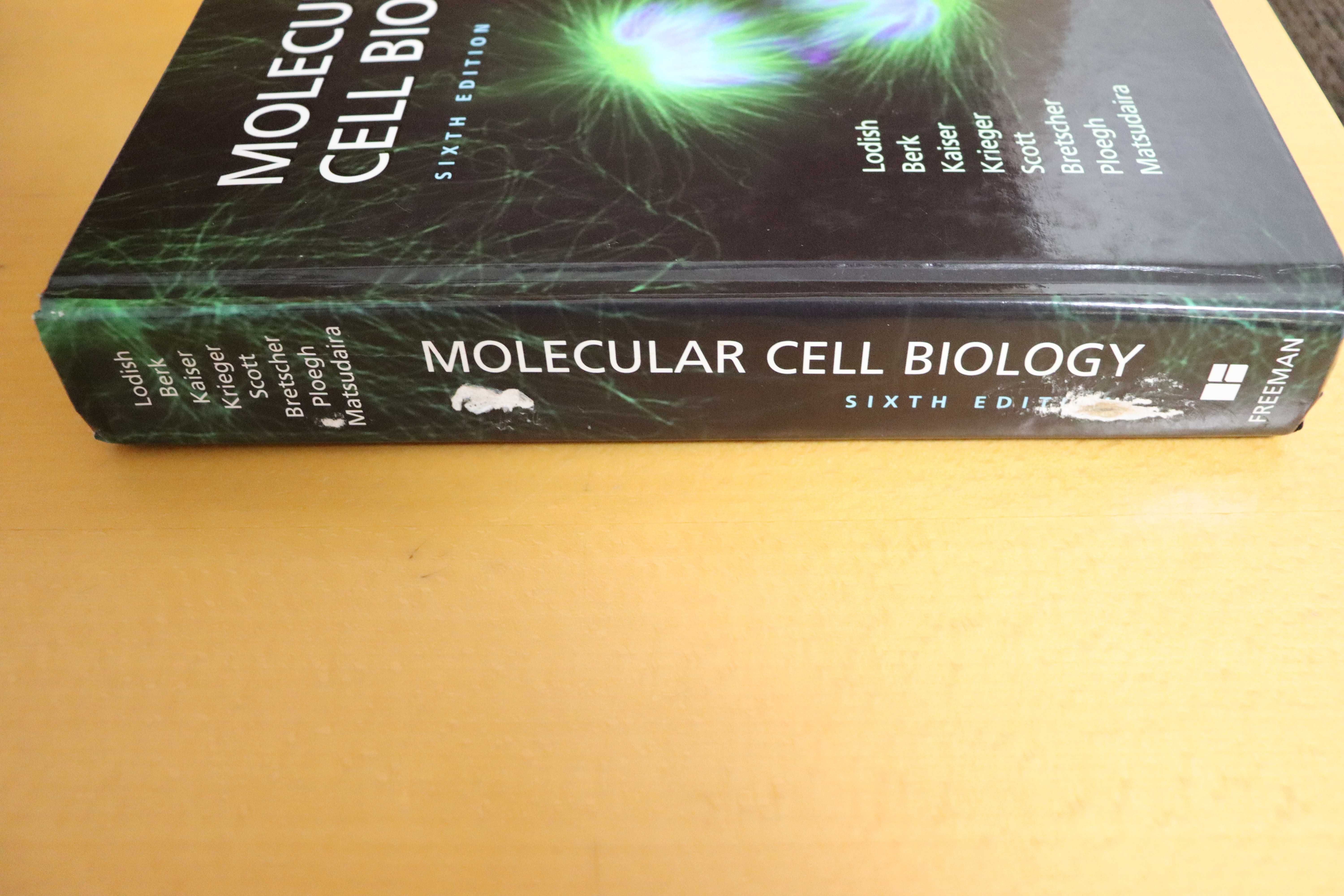 Molecular Cell Biology - Como Novo!