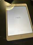 Ipad mini 1 gen 16gb cellular and wifi A1455