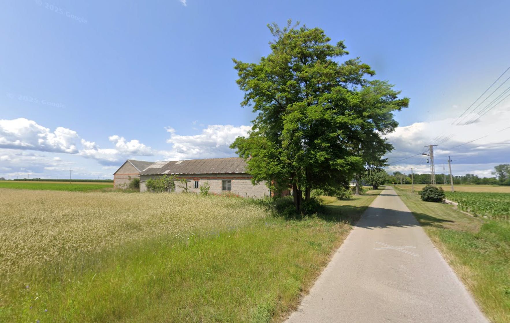 Gospodarstwo rolne z budynkami 3,6ha -miejsc. Chruśle, gmina Kiernozia