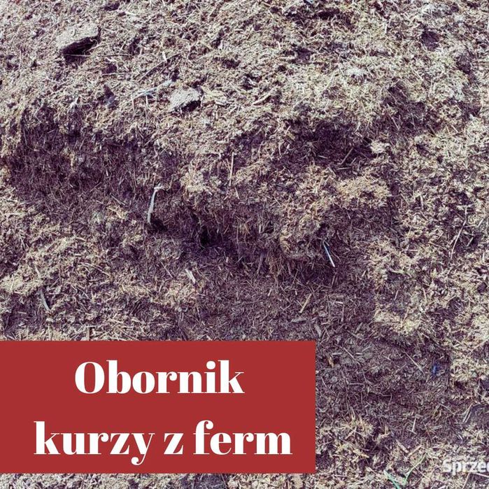 Sprzedaż obornika kurzego z ferm: brojlera, reprodukcji, odchowalni.