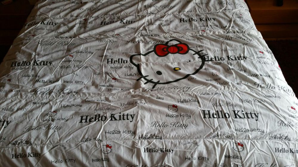 Edredon Hello Kitty Cama Solteiro + Almofada