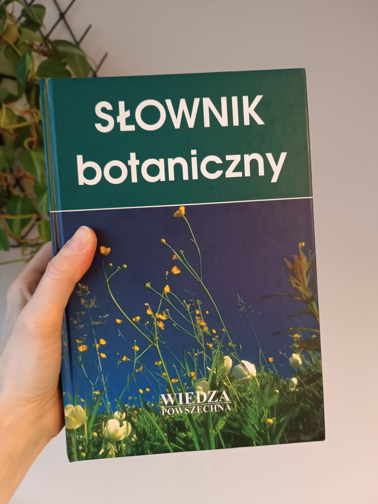 Słownik botaniczny Wiedza powszechna