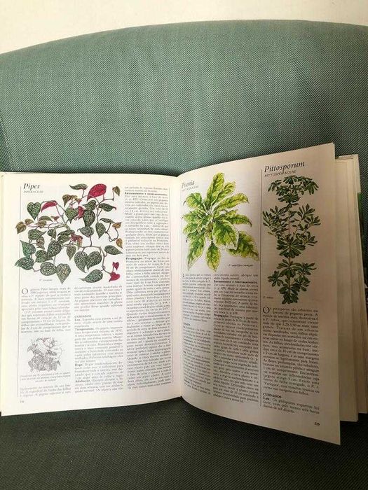 O Grande Livro das Plantas de Interior, 479 páginas