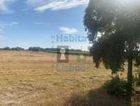 Terreno 11.000m² com viabilidade de moradia - Palmela