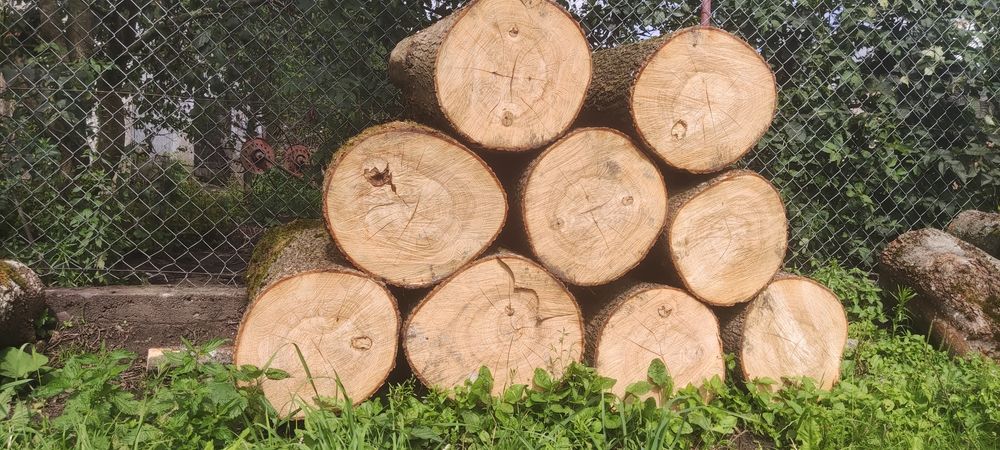 Suche drewno opałowe jesion
